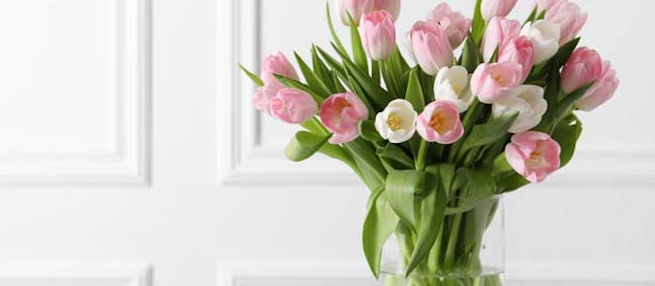 Hold dine tulipaner i vase