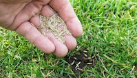 Forny græsplænen med eftersåning af græs