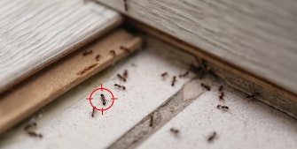 Slip for myrer i huset